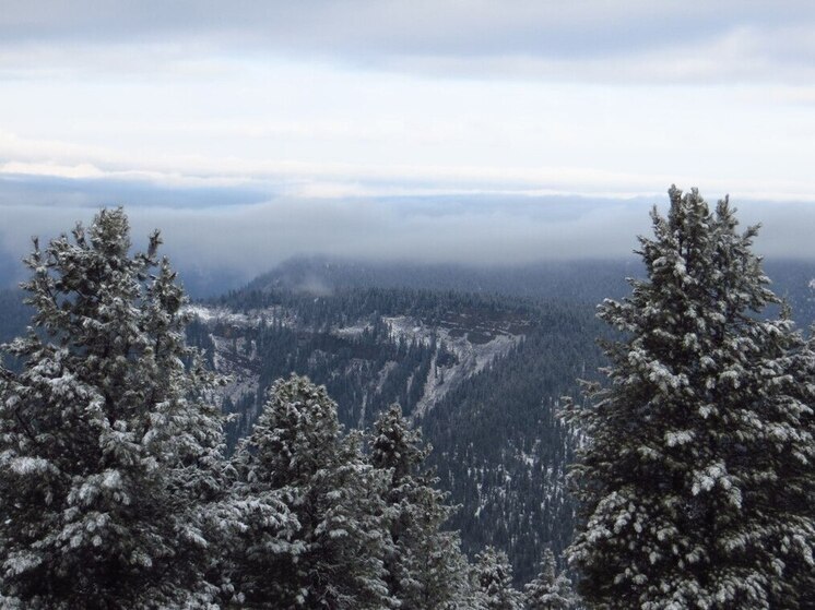 Финансирование на охрану лесов от пожаров в Иркутской области увеличат в два раза