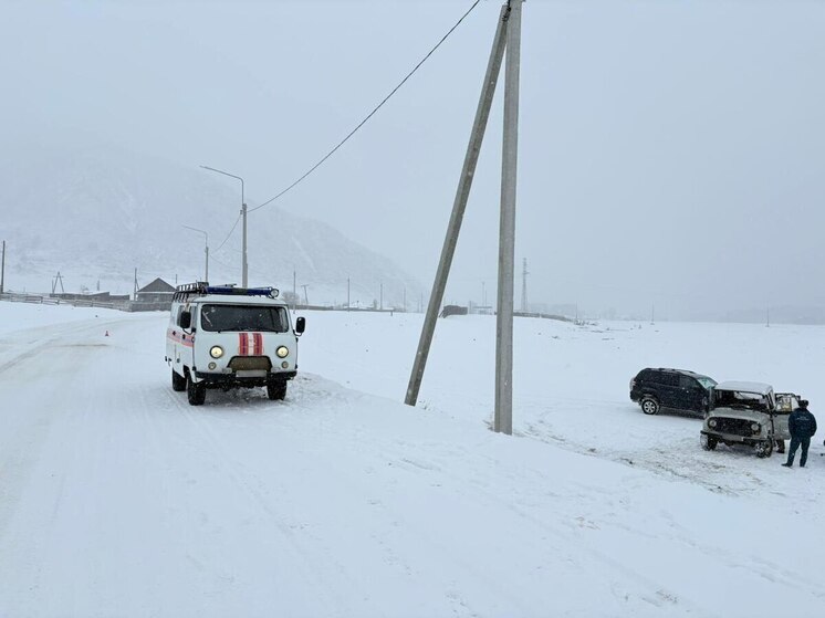 Пожилая пара пострадала в аварии с переворотом на Алтае