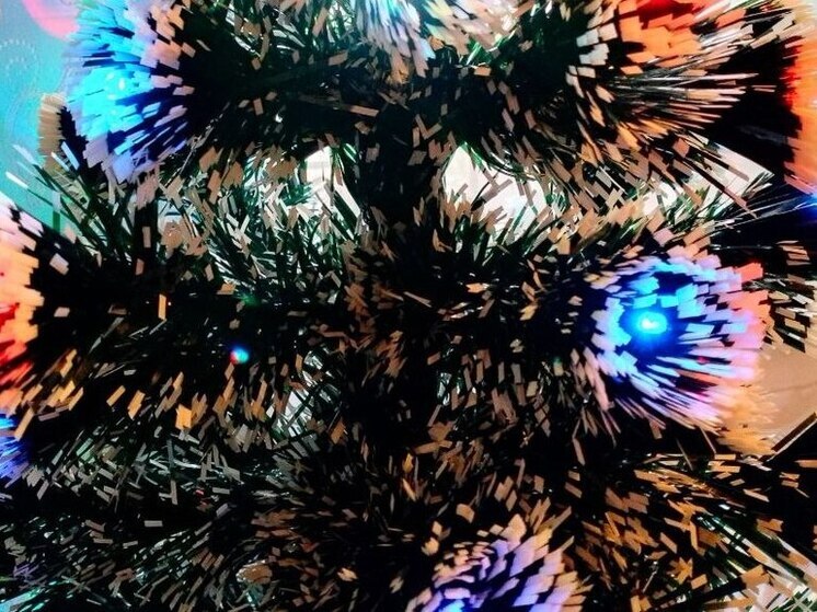 В Сосновом Бору сегодня вечером зажгут городские елки