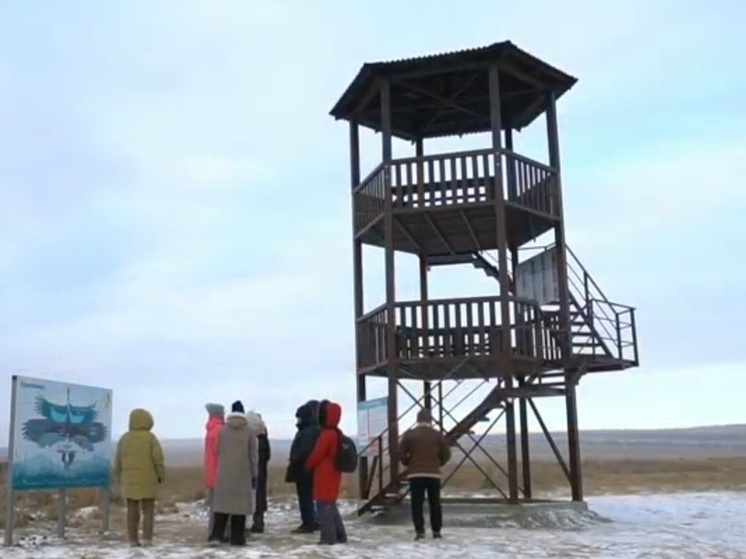 В Хакасии построили орнитологическую вышку для улучшения экотуризма
