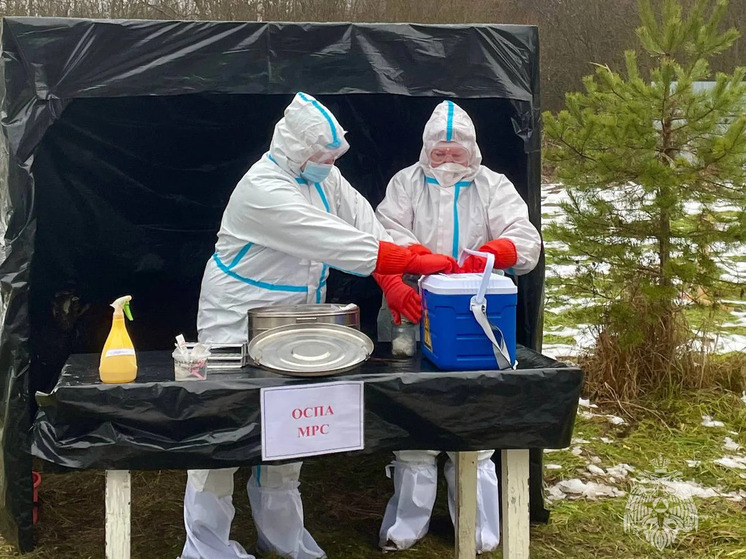 Новгородские спасатели успешно «ликвидировали» очаги гриппа птиц и оспы овец