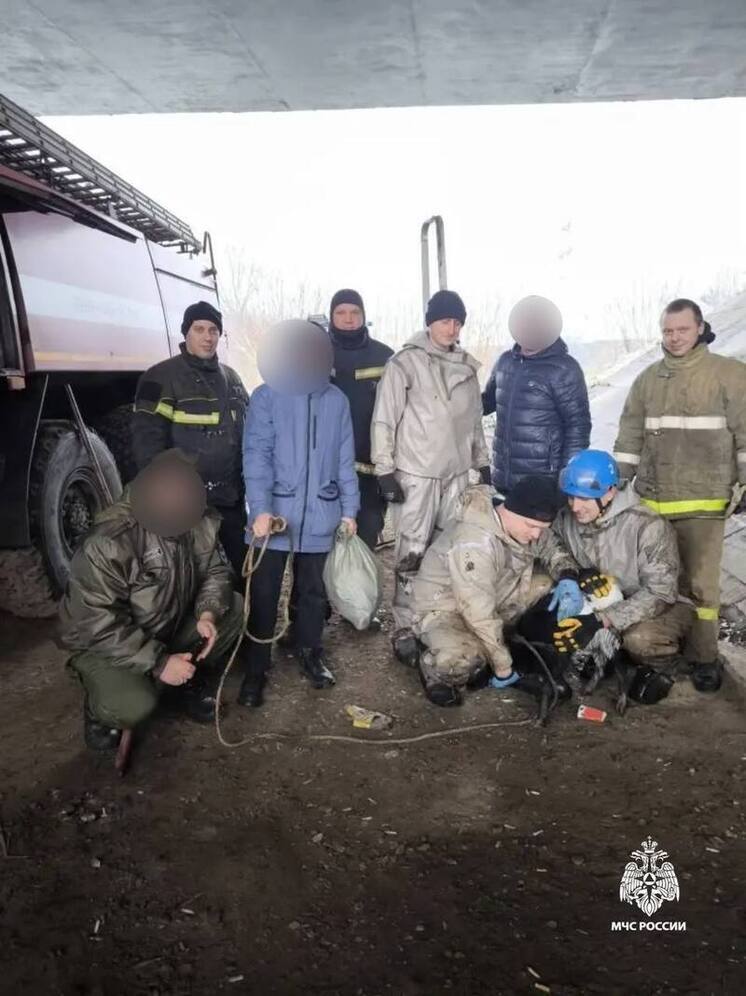 В Твери пожарные спасали застрявшую под мостом козу