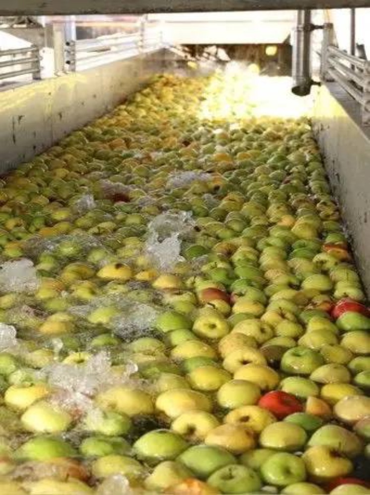 Астраханский завод запустил производство яблочного пюре для крупнейших производителей детского питания