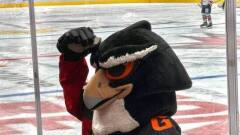 Завершение реконструкции СКК им. Блинова