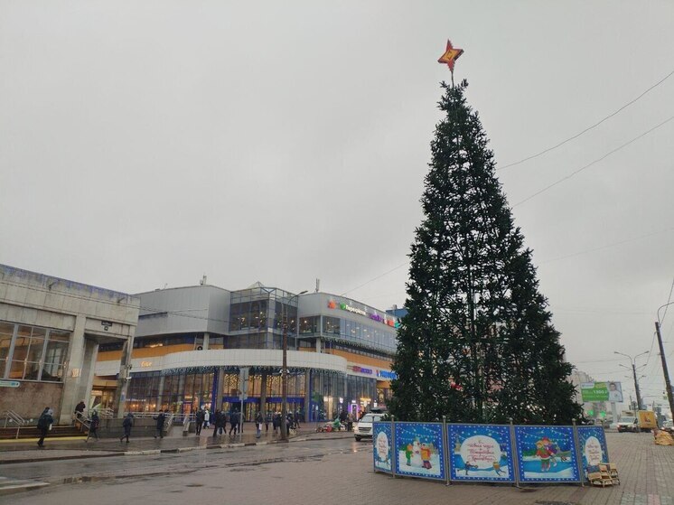 Чудо не пришло: у «Проспекта Просвещения» впервые поставили новогоднюю ёлку, но она оказалась дырявой