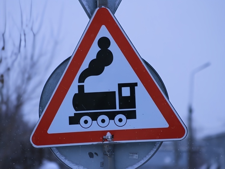 На новогодние праздники из Ростова запустят четыре новых ж/д направления