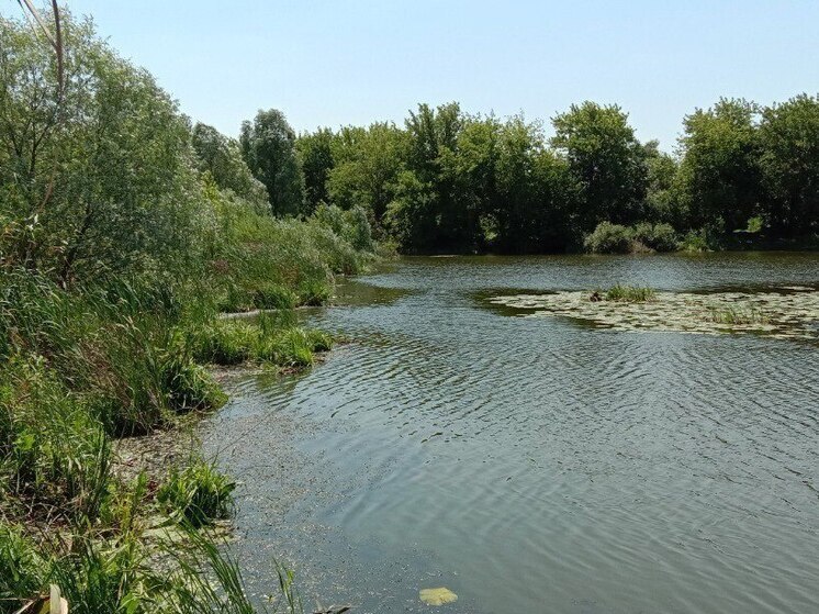 Застройщик заплатит более 5 млн рублей за мусор на берегу озера Круглое под Воронежем