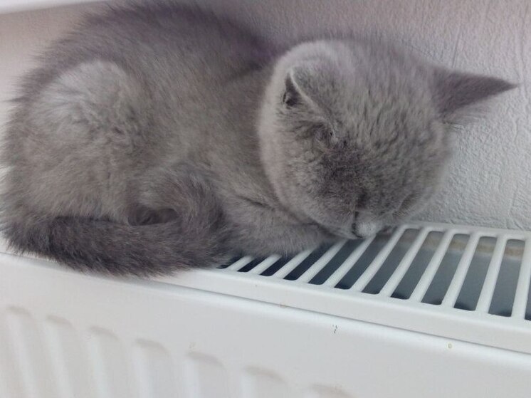 Петербуржцы задолжали за тепло и горячую воду 6,5 млрд рублей