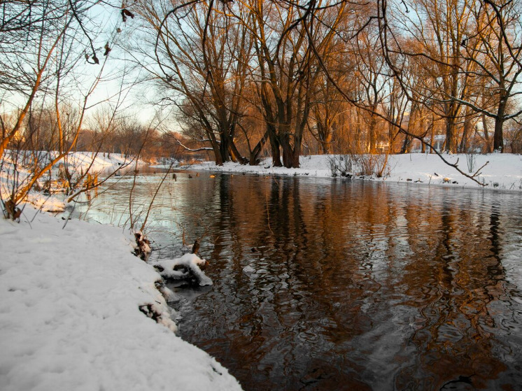 12 декабря брянцам синоптики прогнозируют дождь и мокрый снег