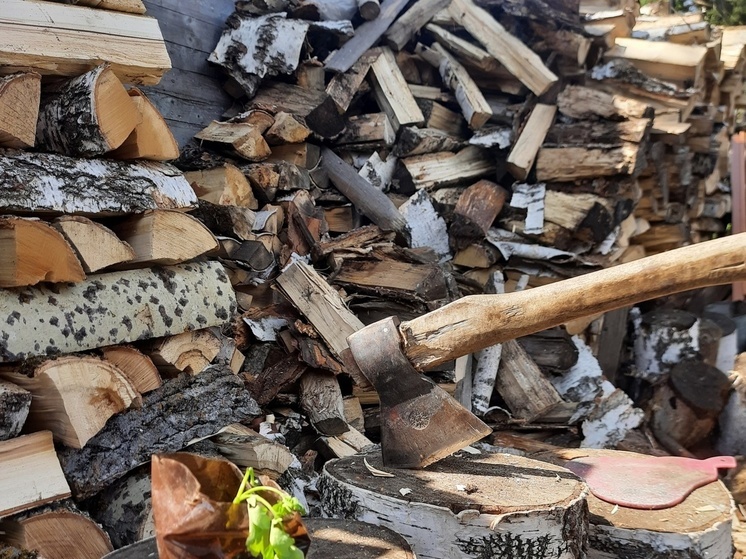 Житель Щёкинского района получил 6 лет строгого режима за удар топором