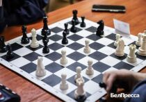 Белгородские шахматисты готовятся к большим победам