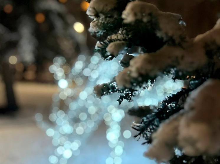 Парки Липецка наполняются новогодней атмосферой