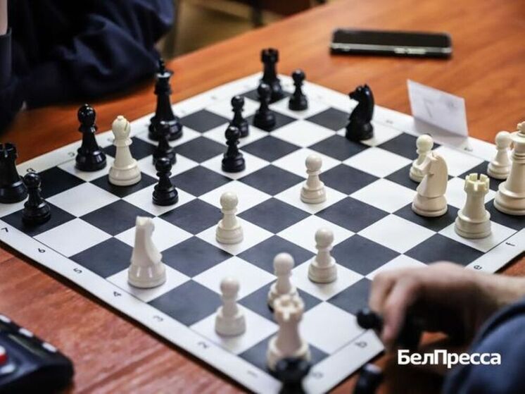 Белгородские шахматисты готовятся к большим победам