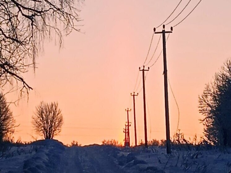 Зимний поход выходного дня: как безопасно и с комфортом погулять в заснеженном лесу