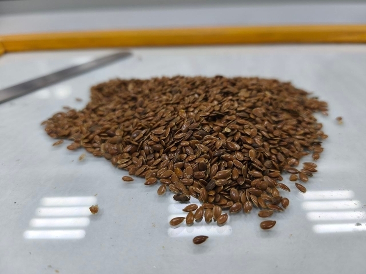 В Китай отправили более 2 тысяч тонн льна из Самарской области