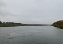 В Арбитражном суде Тульской области завершился судебный процесс, в котором участвовал сын бывшего депутата Тульской областной Думы Александра Ермакова - Алексей Ермаков