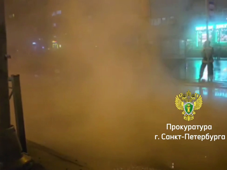 Прокуратура Петербурга выясняет обстоятельства прорыва трубы на Маршала Казакова