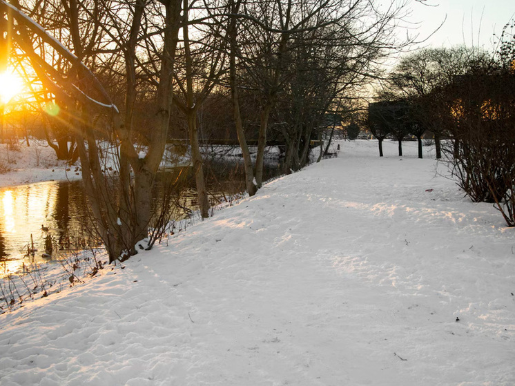 Липецкую область ожидает снежно-дождливая погода 12 декабря