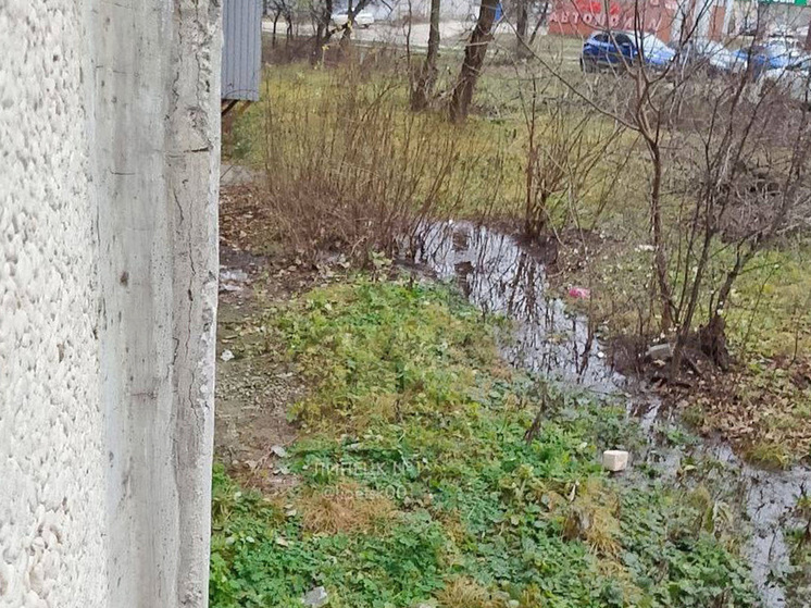 Липчане требуют решения проблемы с подтоплением