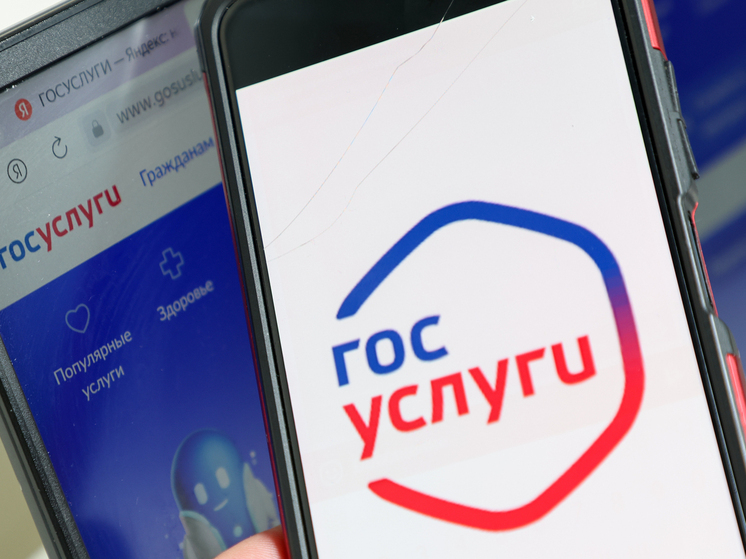В Саратовской области самый юный пользователь Госуслуг пожаловался на блокировку Roblox