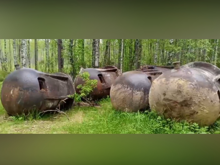 Администрации Медвежьегорска передали найденные в земле бронированные колпаки