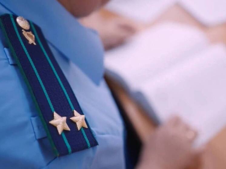 Житель Канашского округа получил штраф за мошенничество при соцконтракте