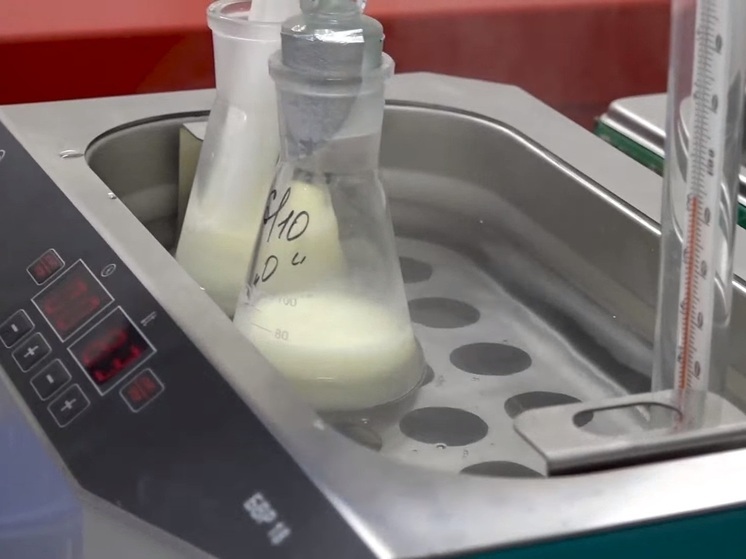 Зачастую крупные молокоперерабатывающие предприятия не только снабжают потребителей качественной молочной продукцией, но и участвуют в профориентационной работе