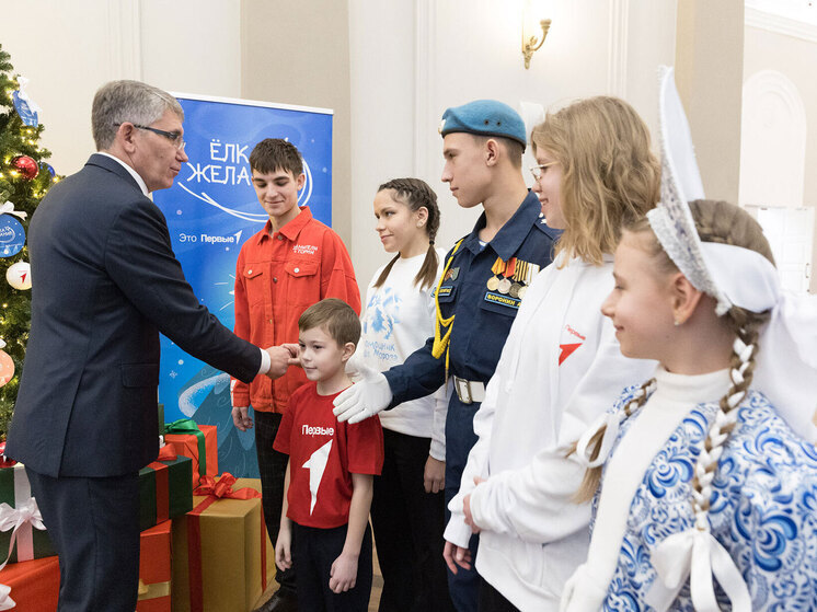 Дмитрий Миляев дал старт акции «Елка желаний» в Тульской области