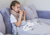 Начало зимы традиционно знаменуется всплеском простуд и так называемых сезонных заболеваний