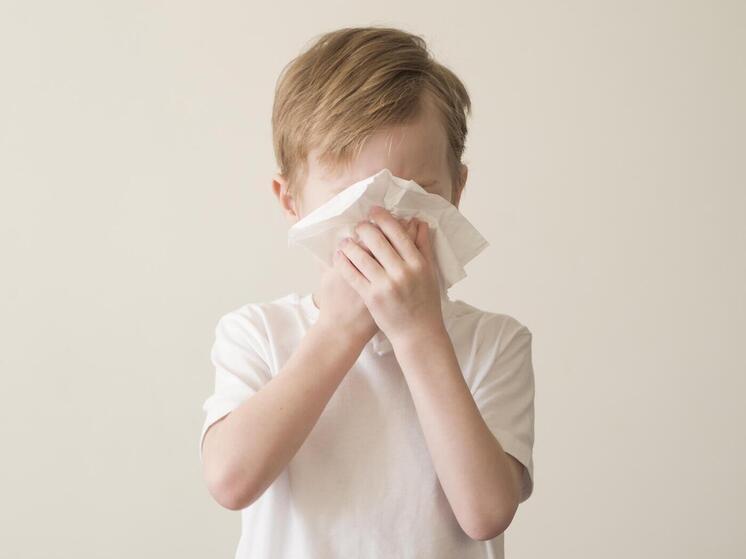 15 школ Нижегородской области полностью закрыты на карантин