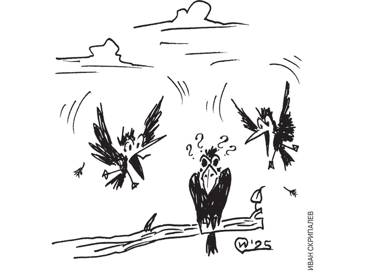 Проза жизни