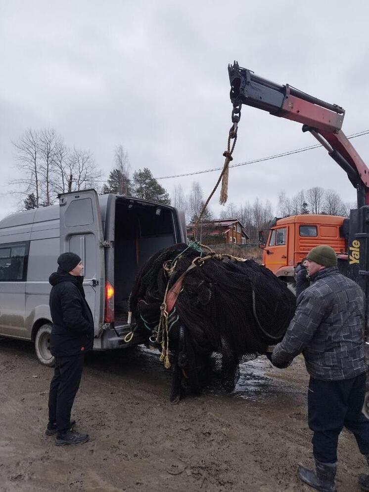 Предприятие из Карелии поставило в Запорожскую область сети для защиты инфраструктуры