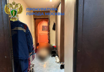 Выяснились новые подробности загадочного происшествия на востоке Москвы, где в доме на улице Богородский Вал были обнаружены трупы мужчины и женщины с ножевыми ранениями