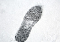 12 декабря 2025 года (пятница) — особый день в народном календаре, посвященный памяти святого мученика Парамона. На Руси его прозвали Зимоуказателем, ведь по погоде в этот день судили о характере всей грядущей зимы. Это время, когда сама природа даёт подсказки, а традиции предков учат жить в гармонии с миром и собой.