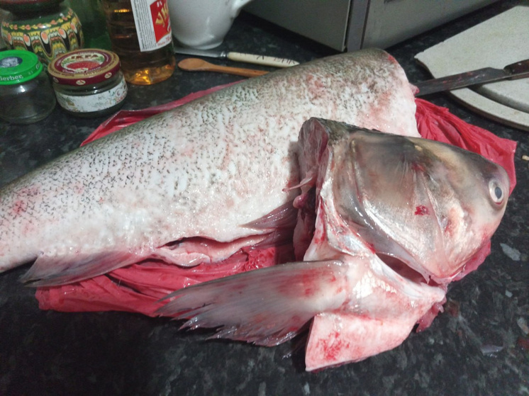 Только 36% детей Тульской области едят рыбу в достаточном количестве