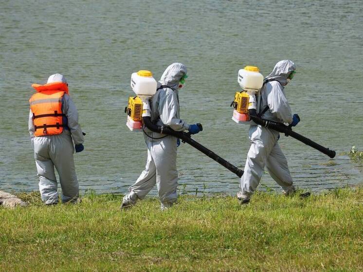 Вологодская область провела 14 учений по борьбе с опасными заболеваниями животных