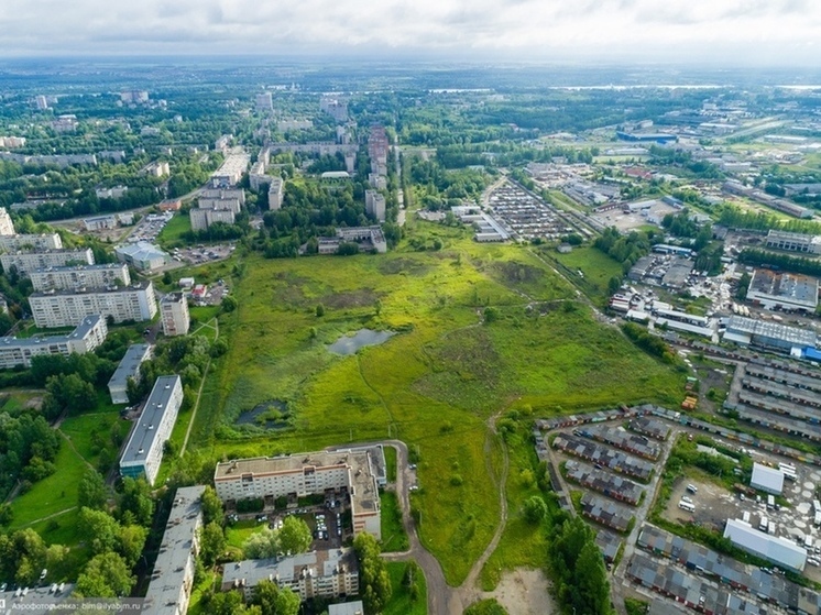 И дело не только в том, что для решения важной проблемы не могут найти подрядчика