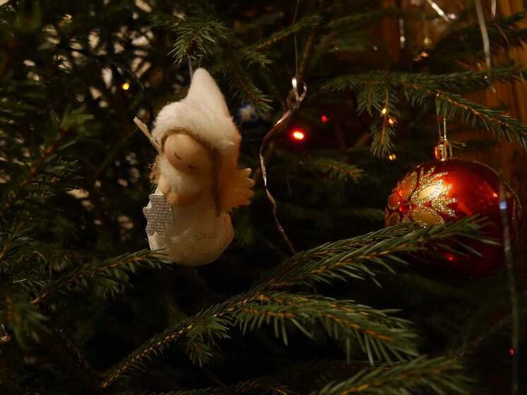 Рождественские фильмы покажет областная библиотека в Вологде