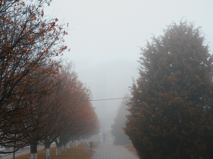 Мощный ветер и дождь ожидаются в Астраханской области 12 декабря