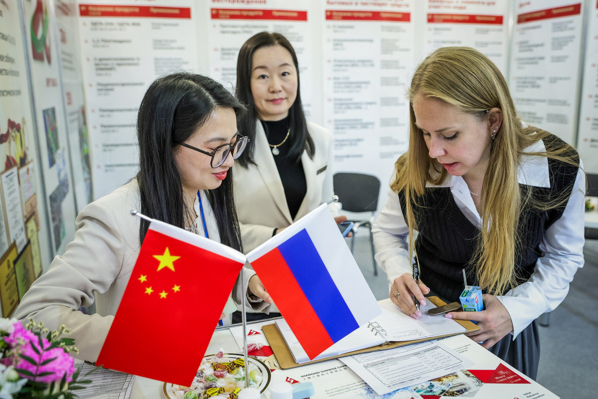 Озвучено, сколько лет может занять строительство "Силы Сибири-2"