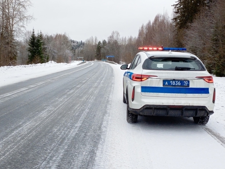 В Петрозаводске пройдут проверки водителей на состояние опьянения