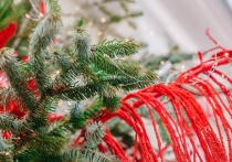 Новый год - это время, когда мы снова становимся немного детьми