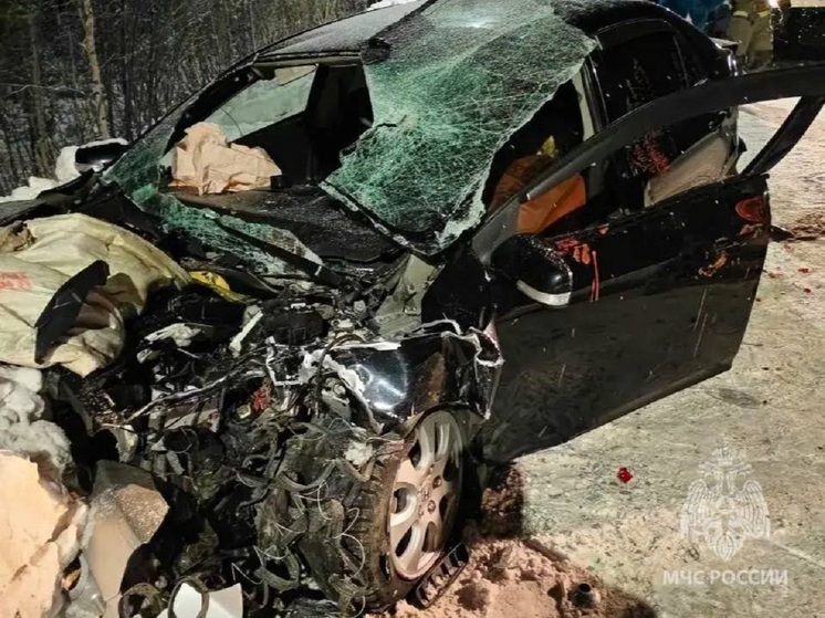 5 человек пострадали в ночном ДТП под Губкинским