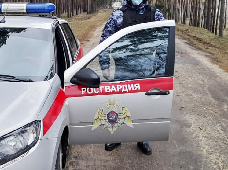 Воронежская Росгвардия в 2025 году вошла в число лидеров по Центральному округу