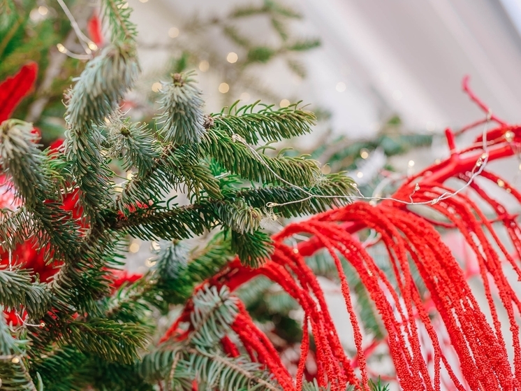 Новый год - это время, когда мы снова становимся немного детьми