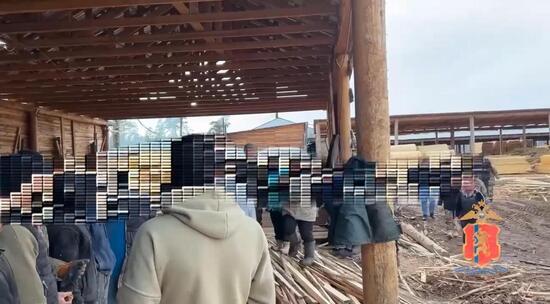 Организаторы незаконной миграции приговорены к шести годам колонии 