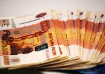 Специалисты Регионального центра финансовой грамотности и инициативного бюджетирования рассказали, как мошенники обманывают людей в канун новогодних праздников