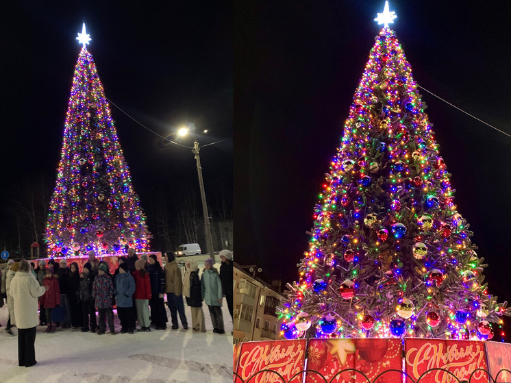Беломорск украсила праздничная елка стоимостью более миллиона рублей