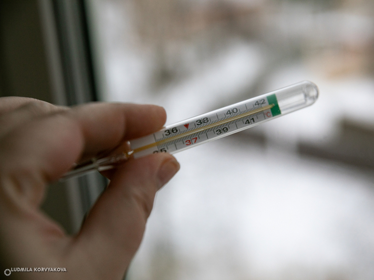 В России зафиксирован резкий рост заболеваемости свиным и гонконгским гриппами