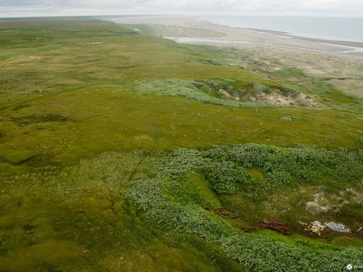 В НАО поведали о давней экспедиции англичан в воды Канина